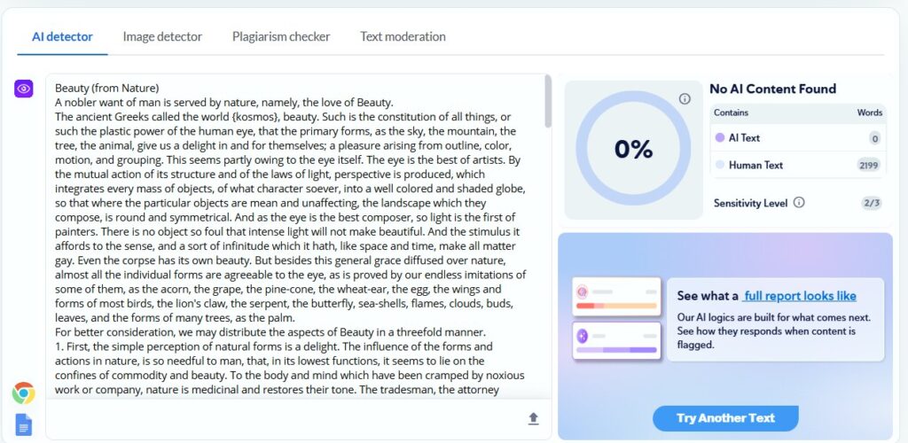 Copyleaks Results: Human Academic Essay