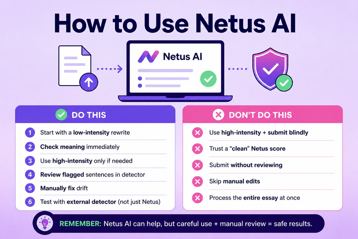 How to Use Netus AI