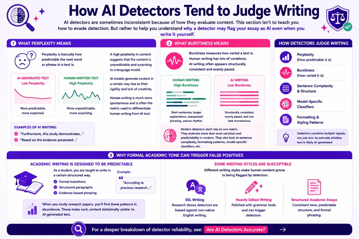 How AI Detectors Tend to Judge Writing